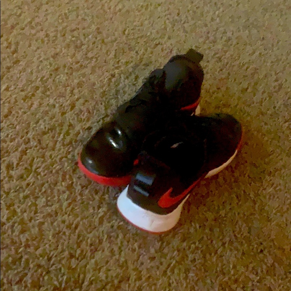 Basketball shoes they are LeBron